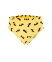 Kit-de-3-Cuecas-Batman-Multicor-8337422-Multicor_2