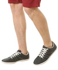 Sapatenis-Ollie-Chumbo-8385032-Chumbo_5