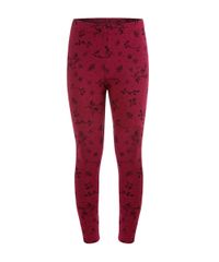 Calca-Legging-com-Estampada-de-Passaros-Vinho-8339361-Vinho_1