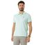 Polo-em-Piquet-Verde-Claro-8348835-Verde_Claro_1