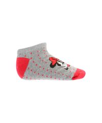 Kit-de-2-Pares-de-Meias-Soquete-Minnie-Multicor-8305509-Multicor_2 Kit-de-2-Pares-de-Meias-Soquete-Minnie-Multicor-8305509-Multicor_2