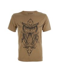 Camiseta--Coruja--Led-s-Tattoo-Caramelo-8395076-Caramelo_5 Camiseta--Coruja--Led-s-Tattoo-Caramelo-8395076-Caramelo_5