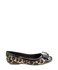 Sapatilha-Moleca-Animal-Print-Preta-8361698-Preto_3