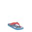 Chinelo-Ipanema-Homem-Aranha-Azul-8328113-Azul_1