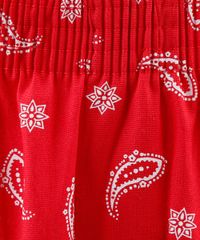 Samba-Cancao-Masculina-Estampada-de-Bandana-Vermelha-9395638-Vermelho_3