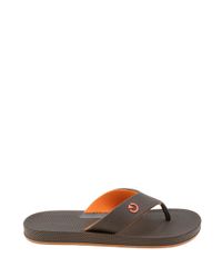 Chinelo-Cartago-com-Laser-Cut-Marrom-8377308-Marrom_3