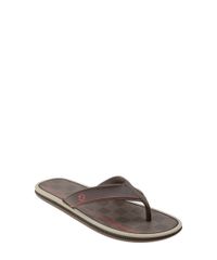 Chinelo-Cartago-Marrom-8398549-Marrom_1