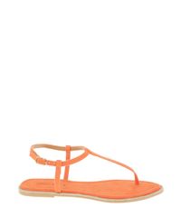 Rasteira-em-Suede-Laranja-8384234-Laranja_1