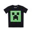 Camiseta-Minecraft-Preta-8339390-Preto_1