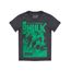 Camiseta-Hulk-Cinza-Mescla-8357042-Cinza_Mescla_1