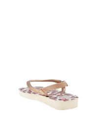 Chinelo-Havaianas-Bege-8426657-Bege_3