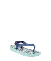 Chinelo-Havaianas-Azul-Claro-8426672-Azul_Claro_2