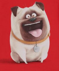 Camiseta-Pets-Vermelha-8390586-Vermelho_4