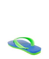 Chinelo-Havaianas-Azul-8426688-Azul_3