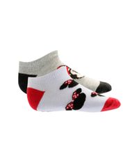 Kit-de-2-Pares-de-Meias-Minnie-Multicor-8394764-Multicor_1 Kit-de-2-Pares-de-Meias-Minnie-Multicor-8394764-Multicor_1