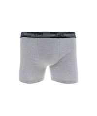 Cueca-Boxer-Lupo-Cinza-Mescla-8400066-Cinza_Mescla_1 Cueca-Boxer-Lupo-Cinza-Mescla-8400066-Cinza_Mescla_1