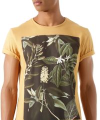Camiseta--Folhagem--Caramelo-8396967-Caramelo_4