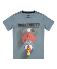 Camiseta-Angry-Birds-Chumbo-8383304-Chumbo_1