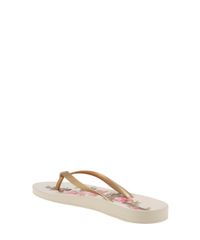 Chinelo-Ipanema-Anatomico-Floral-Bege-8448492-Bege_3