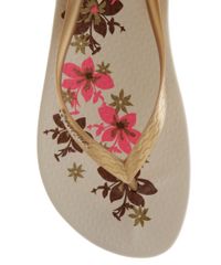 Chinelo-Ipanema-Anatomico-Floral-Bege-8448492-Bege_4