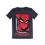 Camiseta-Homem-Aranha--Chumbo-8450463-Chumbo_1