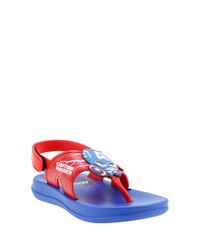 Chinelo-Grendene-Capitao-America-Azul-8452590-Azul_2