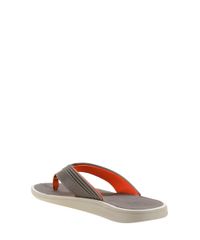 Chinelo-Cartago-Marrom-8343825-Marrom_3