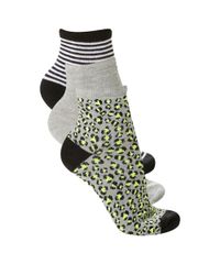 Kit-de-3-Meias-Estampadas-Multicor-8461937-Multicor_1