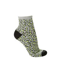 Kit-de-3-Meias-Estampadas-Multicor-8461937-Multicor_2