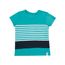 Camiseta-Flame-com-Listras-Verde-8392441-Verde_1
