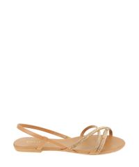 Rasteira-com-Strass-Caramelo-8438458-Caramelo_1