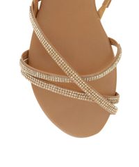 Rasteira-com-Strass-Caramelo-8438458-Caramelo_4