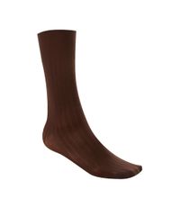 Kit-de-3-Meias-Marrom-8452718-Marrom_2