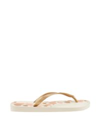 Chinelo-Ipanema-com-Estampa-de-Coracoes-Bege-8399684-Bege_1