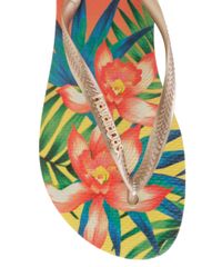 Chinelo-Havaianas-Tropical-Amarelo-8424791-Amarelo_4