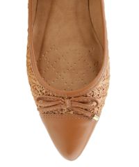 Sapatilha-Caramelo-8444345-Caramelo_4 Sapatilha-Caramelo-8444345-Caramelo_4