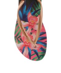 Chinelo-Havaianas-Tropical-Rosa-8424797-Rosa_4