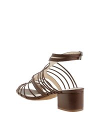 Sandalia-Tatiana-Loureiro-Brilhos-Marrom-8453003-Marrom_4