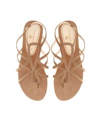 Rasteira-Tatiana-Loureiro-Brilhos-Bege-8451852-Bege_5