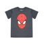 Camiseta-Homem-Aranha-Chumbo-8484625-Chumbo_1