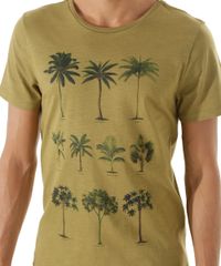 Camiseta--Coqueiro--Verde-Militar-8440791-Verde_Militar_4