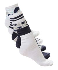Kit-de-5-Meias-Multicor-8476837-Multicor_1