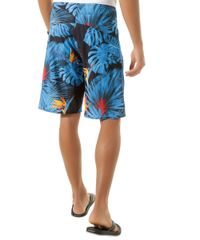 Bermuda-Estampada-de-Folhagem-Azul-8407703-Azul_2