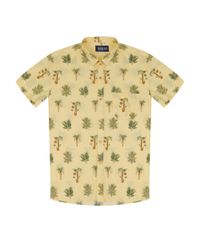 Camisa-Estampada-Amarela-8394885-Amarelo_5