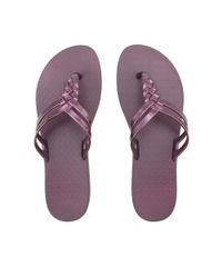 Chinelo-Ipanema-Roxo-8493045-Roxo_1