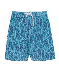 Bermuda-Estampada-de-Penas-Azul-Claro-8422477-Azul_Claro_1