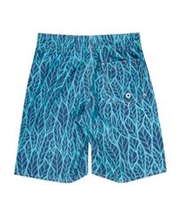Bermuda-Estampada-de-Penas-Azul-Claro-8422477-Azul_Claro_2