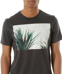 Camiseta--Folhagem--Cinza-Mescla-Escuro-8429937-Cinza_Mescla_Escuro_4 Camiseta--Folhagem--Cinza-Mescla-Escuro-8429937-Cinza_Mescla_Escuro_4