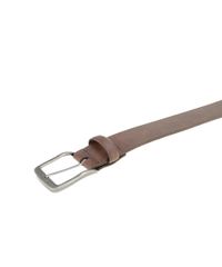 Cinto-Marrom-8464419-Marrom_3