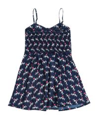 Vestido-Estampado-de-Passaros-Azul-Marinho-8334684-Azul_Marinho_2